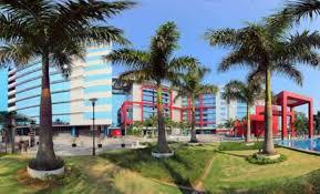 MIIT Global Services MIIT Global Services photo 1
